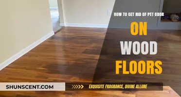 Eliminate Pet Odor from Wood Floors: A Comprehensive Guide