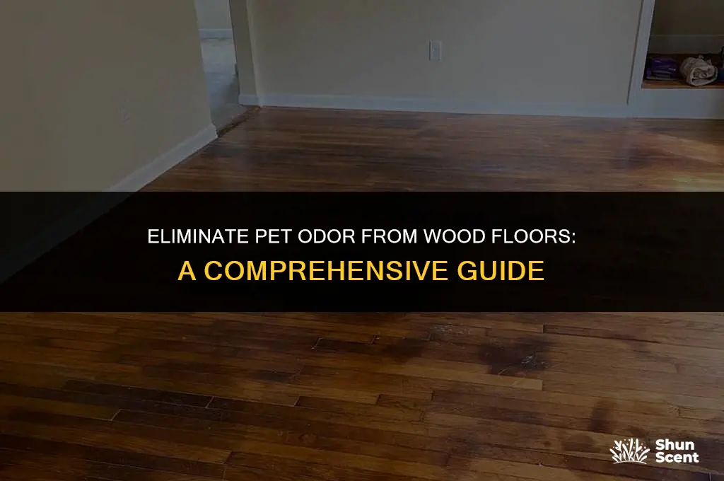 how to get rid of pet odor on wood floors