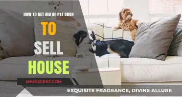 Eliminate Pet Odors: Boost Your Home's Appeal for a Quick Sale