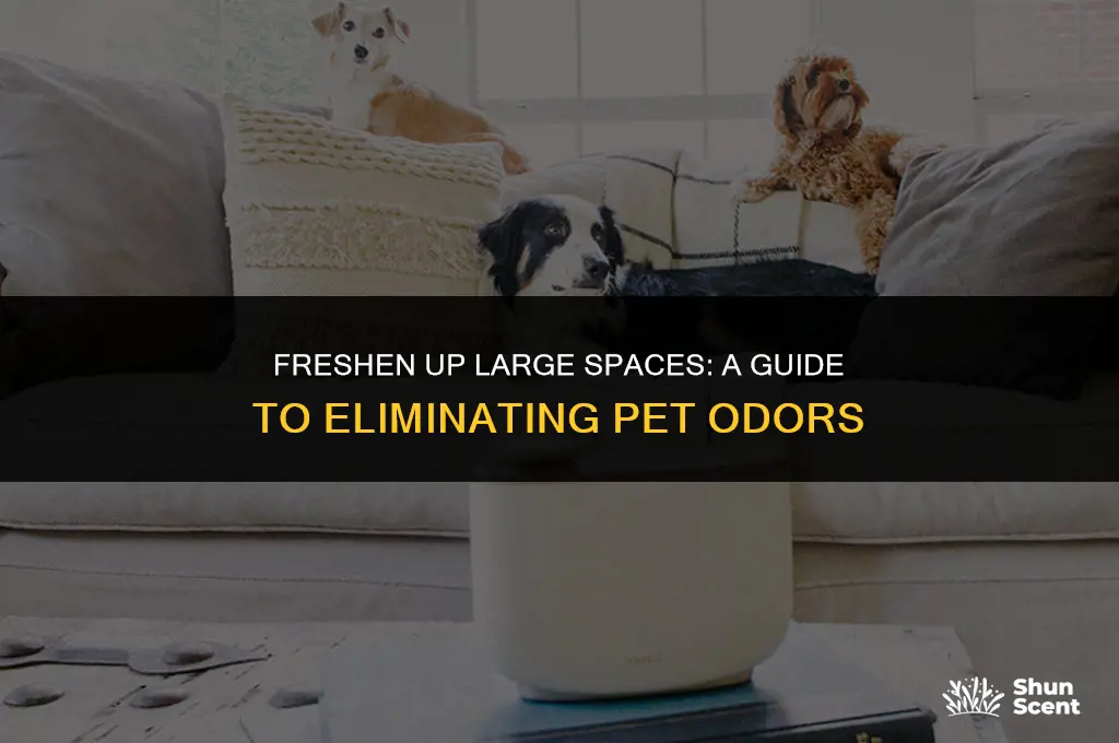 how to get rid of pet odors in large areas