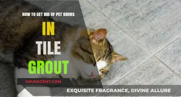 Freshen Up Your Home: A Guide to Removing Pet Odors from Tile Grout