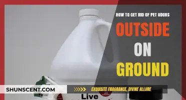 Fresh Air, Fresh Ground: Eliminating Pet Odors Outdoors