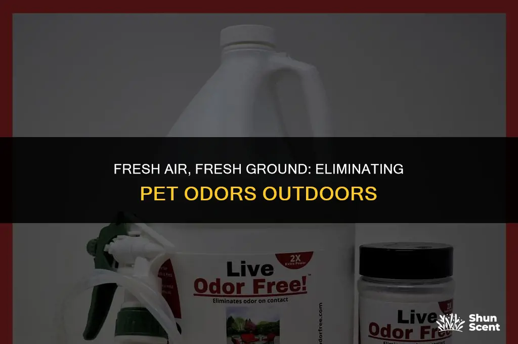 how to get rid of pet odors outside on ground