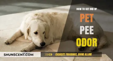Eliminate Pet Pee Odor: A Comprehensive Guide for Freshness