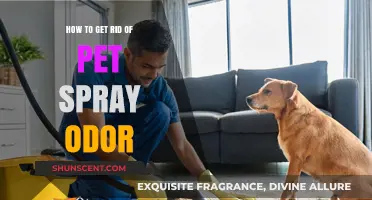 Freshen Up Your Home: Effective Ways to Eliminate Pet Spray Odor