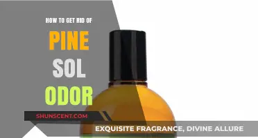 Freshen Up: Effective Ways to Eliminate Pine Sol Odor
