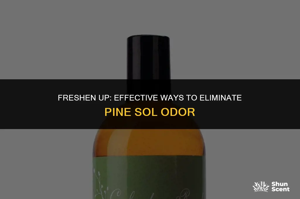how to get rid of pine sol odor