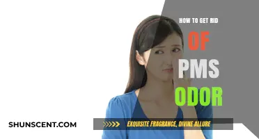 Fresh and Clean: Your Guide to Managing PMS Odor