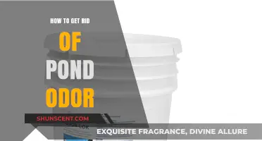 Banish Pond Odor: Natural Solutions for a Fresh and Healthy Pond