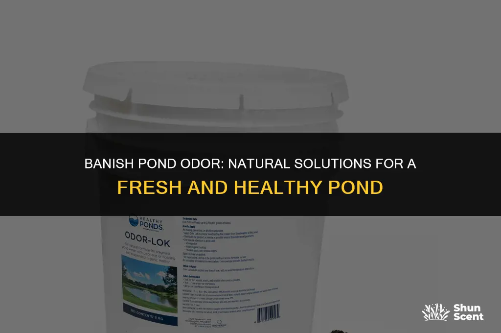 how to get rid of pond odor