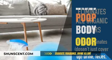 Freshen Up: A Guide to Eliminating Poop Body Odor