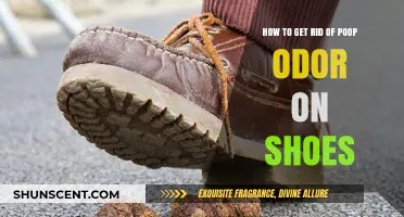 Banish Poop Odor from Shoes: A Comprehensive Guide