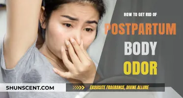 Fresh Beginnings: Tackling Postpartum Body Odor with Confidence
