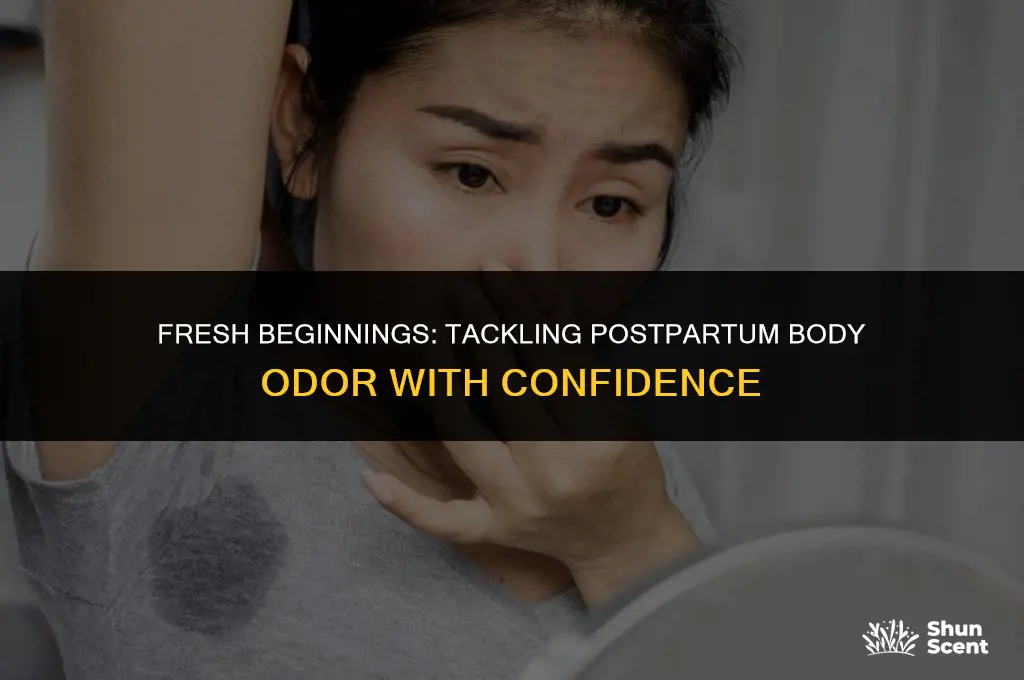 how to get rid of postpartum body odor