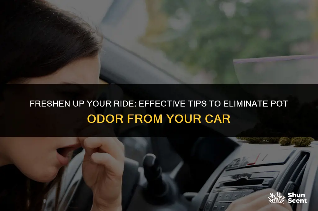 how to get rid of pot odor in car