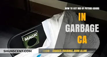 Banish Putrid Odors: Effective Tips for a Fresh Garbage Can