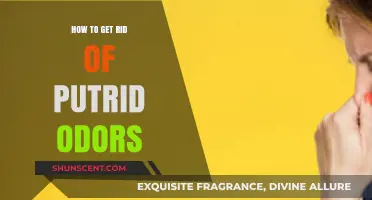 Banishing Putrid Odors: A Comprehensive Guide to Freshness