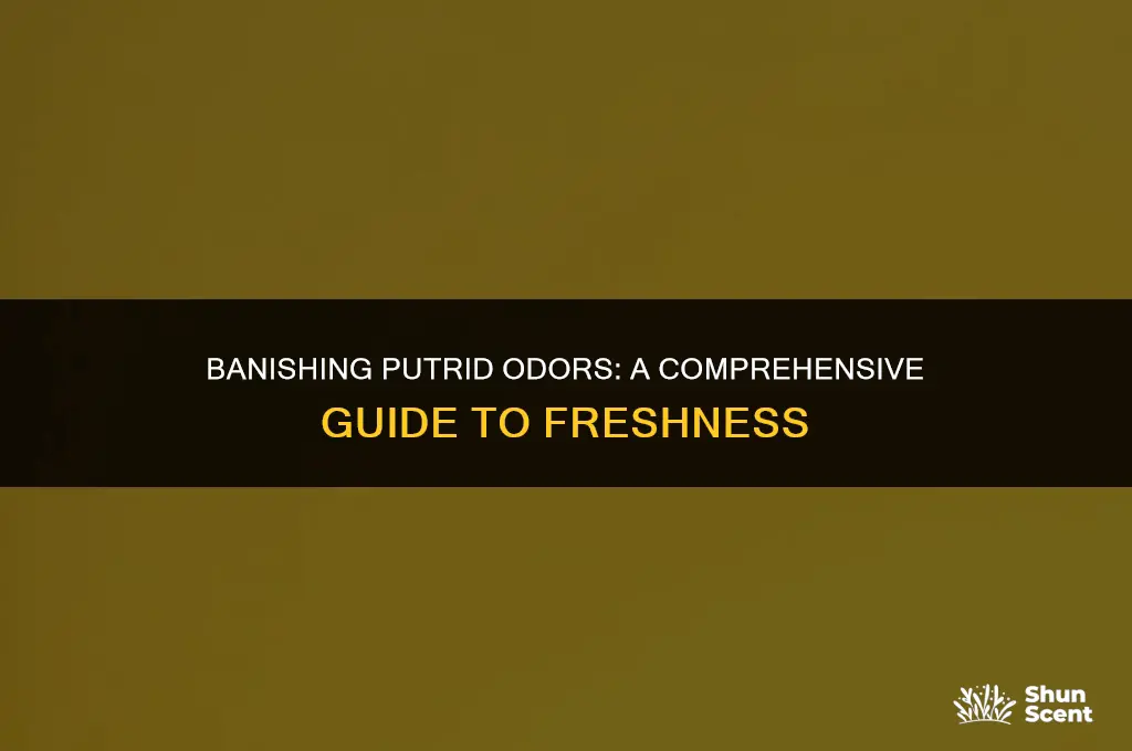 how to get rid of putrid odors