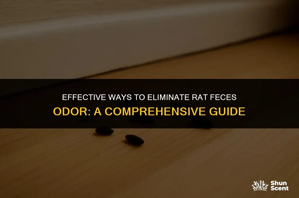 how to get rid of rat feces odor