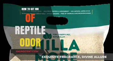 Eliminating Reptile Odor: A Comprehensive Guide for Pet Owners