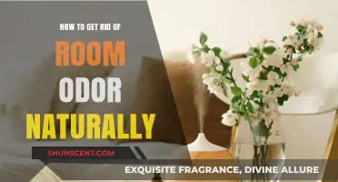 Natural Ways to Eliminate Room Odors: Freshen Your Space Organically
