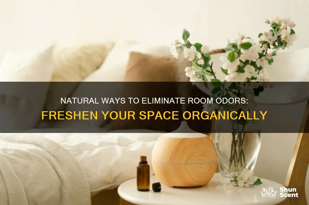 how to get rid of room odor naturally