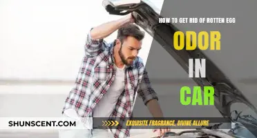 Eliminate Rotten Egg Smell in Your Car: Quick and Effective Solutions