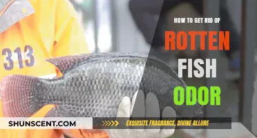 Eliminate Rotten Fish Smell: Quick Tips for Freshening Your Space