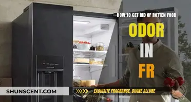 Eliminate Rotten Food Smells: Freshen Your Fridge Fast and Naturally