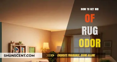 Effective Ways to Eliminate Unpleasant Rug Odors Permanently