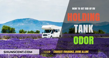 Eliminate RV Holding Tank Smells: Proven Tips for Fresh Air