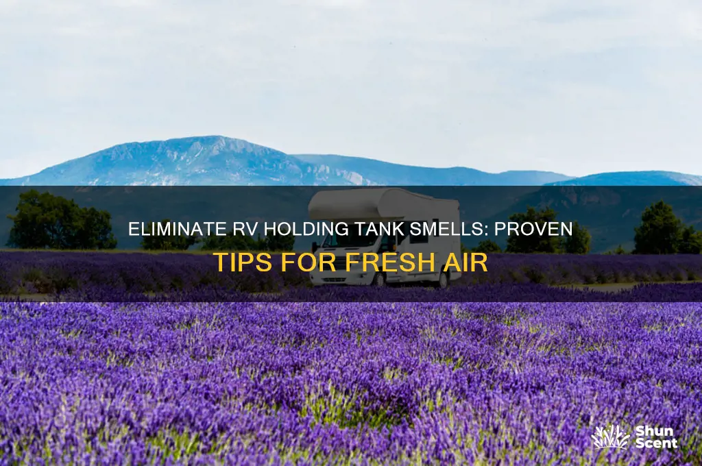 how to get rid of rv holding tank odor