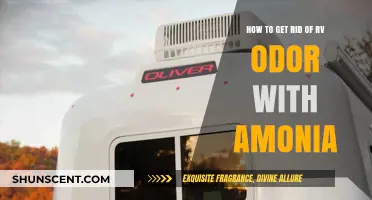 Eliminate RV Odors Fast: Ammonia Cleaning Tips and Tricks