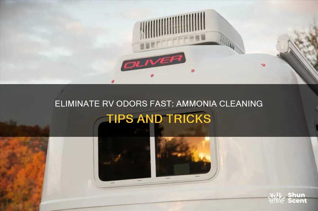 how to get rid of rv odor with amonia