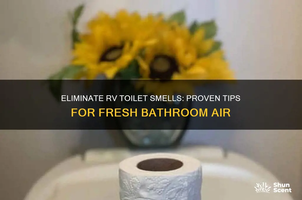 how to get rid of rv toilet odor