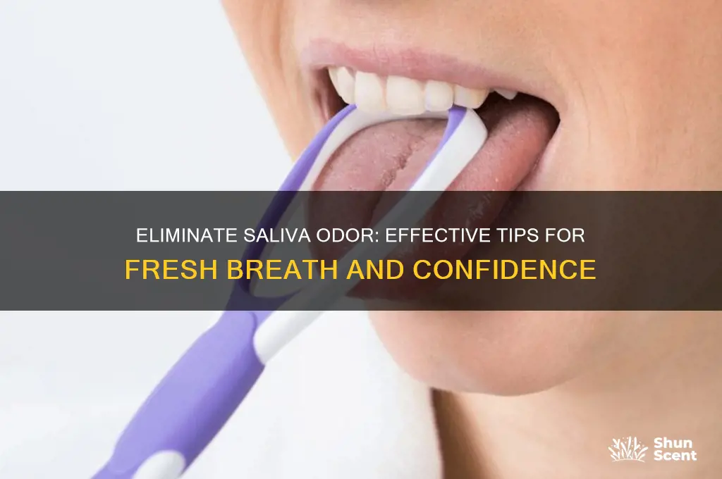 how to get rid of saliva odor