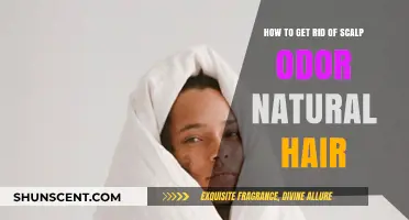Natural Hair Care: Eliminating Scalp Odor with Simple Home Remedies
