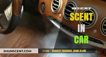 Effective Ways to Eliminate Lingering Car Odors Permanently