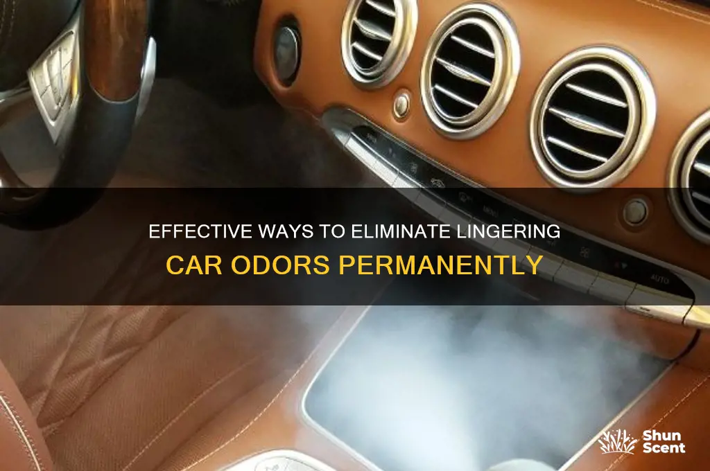 how to get rid of scent in car