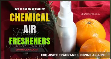 Eliminate Chemical Air Freshener Odors: Natural Solutions for Fresh Indoor Air