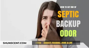 Eliminate Septic Backup Smells: Effective Solutions for a Fresh Home