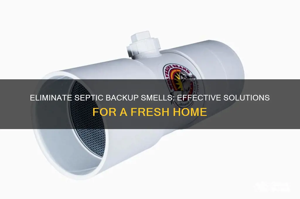 how to get rid of septic backup odor