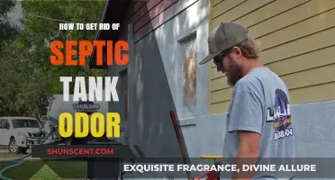 Eliminate Septic Tank Smells: Proven Tips for a Fresh Home Environment