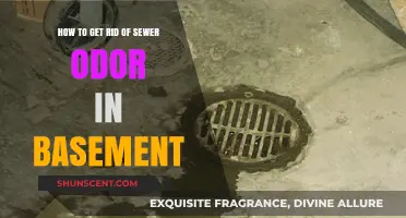 Eliminate Basement Sewer Smells: Effective Solutions for a Fresh Home