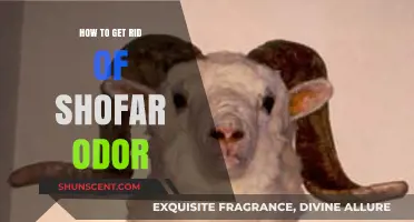 Eliminate Shofar Smell: Effective Tips to Freshen Your Ritual Horn