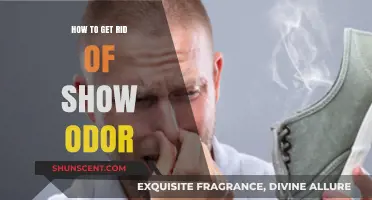 Effective Tips to Eliminate Shoe Odor and Keep Feet Fresh