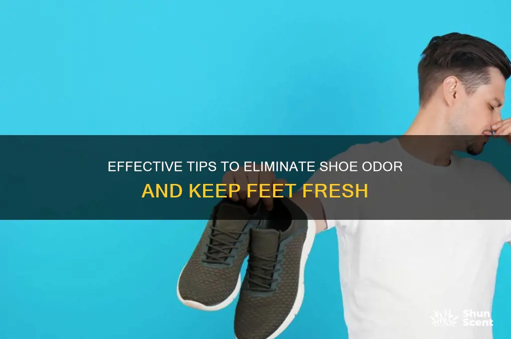 how to get rid of show odor
