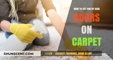 Eliminate Stubborn Sick Odors from Your Carpet: Effective Cleaning Tips