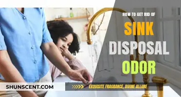 Eliminate Sink Disposal Smells: Quick Fixes for Fresh Drains