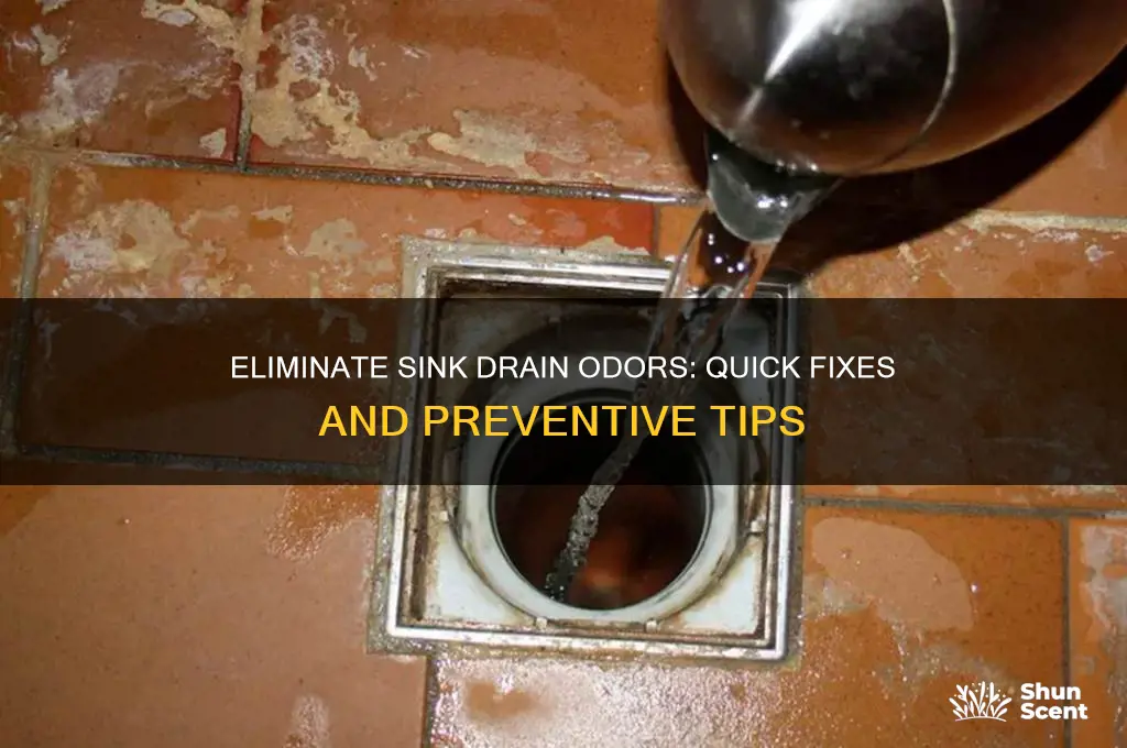 how to get rid of sink drain odors
